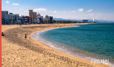 프리미엄 이미지4